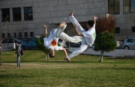 Science of capoeira