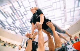 Flying Yogi Researchers